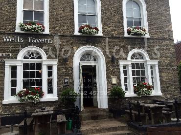 Major Plants Ltd - Window Boxes - London - UK - Image 14