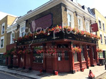 Major Plants Ltd - Window Boxes - London - UK - Image 15