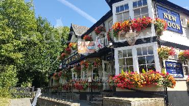 Major Plants Ltd - Window Boxes - London - UK - Image 20