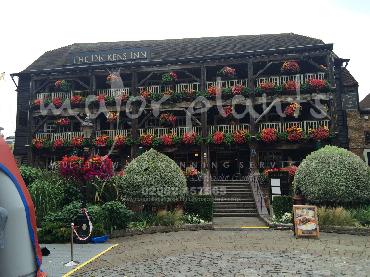 Major Plants Ltd - Window Boxes - London - UK - Image 25