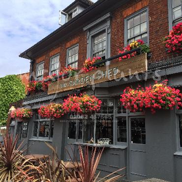 Major Plants Ltd - Window Boxes - London - UK - Image 28