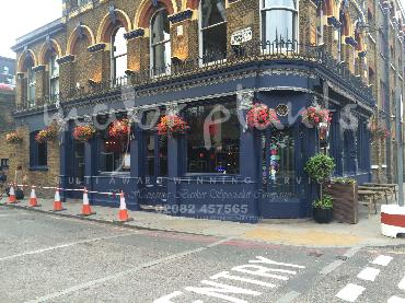 Major Plants Ltd - Window Boxes - London - UK - Image 44