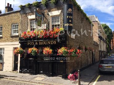 Major Plants Ltd - Window Boxes - London - UK - Image 52
