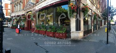 Major Plants Ltd - Window Boxes - London - UK - Image 59