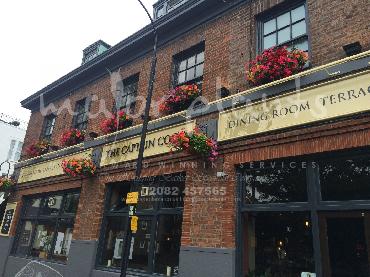 Major Plants Ltd - Window Boxes - London - UK - Image 61