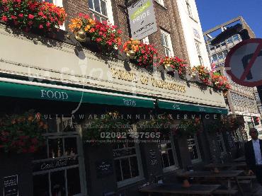 Major Plants Ltd - Window Boxes - London - UK - Image 63