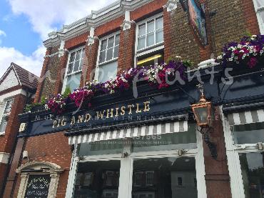 Major Plants Ltd - Window Boxes - London - UK - Image 65