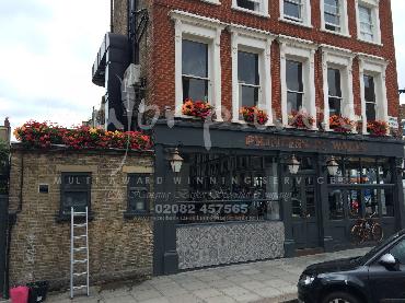 Major Plants Ltd - Window Boxes - London - UK - Image 69