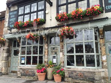 Major Plants Ltd - Window Boxes - London - UK - Image 74