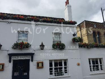 Major Plants Ltd - Window Boxes - London - UK - Image 84