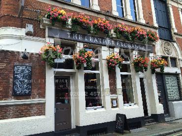 Major Plants Ltd - Window Boxes - London - UK - Image 85