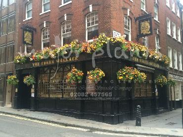 Major Plants Ltd - Window Boxes - London - UK - Image 89