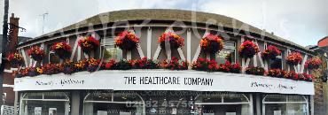 Major Plants Ltd - Window Boxes - London - UK - Image 93