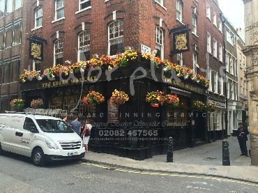 Major Plants Ltd - Window Boxes - London - UK - Image 97