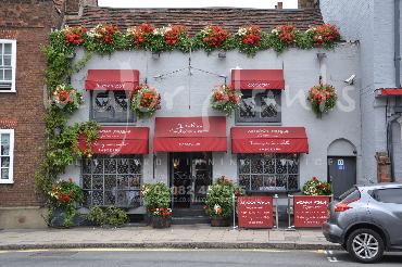 Major Plants Ltd - Window Boxes - London - UK - Image 98