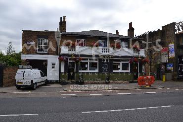 Major Plants Ltd - Window Boxes - London - UK - Image 119