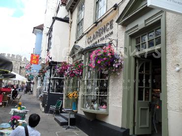 Major Plants Ltd - Window Boxes - London - UK - Image 132