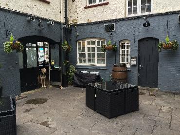Major Plants Ltd - Winter Displays - London - UK - Image 3