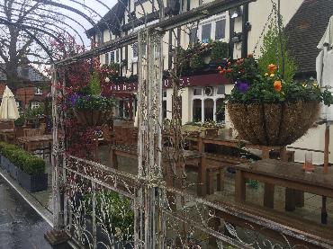 Major Plants Ltd - Winter Displays - London - UK - Image 7