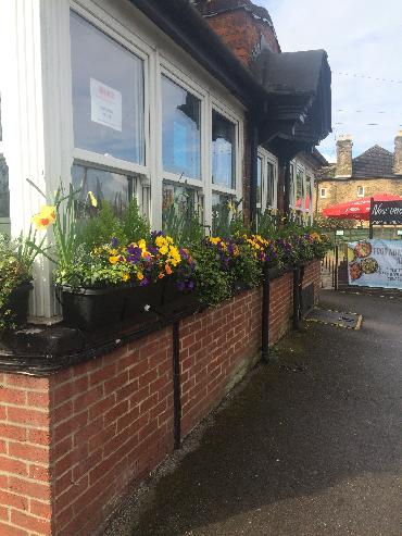 Major Plants Ltd - Winter Displays - London - UK - Image 13