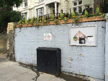 Major Plants Ltd - Winter Displays - London - UK - Image 16