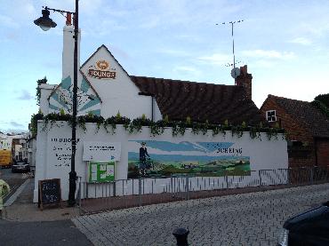 Major Plants Ltd - Winter Displays - London - UK - Image 18