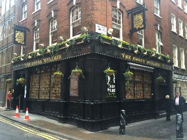 Major Plants Ltd - Winter Displays - London - UK - Image 20