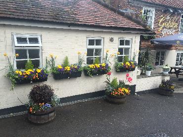 Major Plants Ltd - Winter Displays - London - UK - Image 25