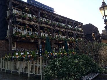 Major Plants Ltd - Winter Displays - London - UK - Image 42