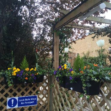 Major Plants Ltd - Winter Displays - London - UK - Image 48