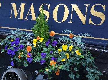 Major Plants Ltd - Winter Displays - London - UK - Image 64